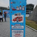 오동동118 | [NC다이노스] 엔씨다이노스 240406 (feat.배홍동데이) 직관 후기