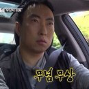 미진여행사