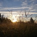 큰소낭 작은돌집 이미지