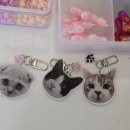 701아를고양이카페(cat in the art) 이미지