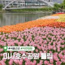 망월천_호수공원4 | 하남 미사호수공원 튤립 실시간 위치 가는법 가까운 주차장 추천
