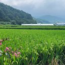 홈실마을회관 이미지