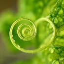 윤가정의학과의원 이미지