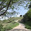 채운8통 마을회관 | 하동 녹차밭 추천 | 정금차밭·유로제다·매암제다원 주차·분위기·꿀팁 비교
