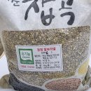 검정찰보리 이미지