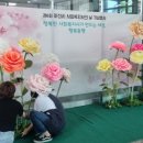 손끝에서 피어나는 페이퍼 플라워 이미지