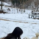 이랑둔내펜션 이미지