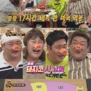 돼지한마리 티브이데일리