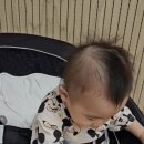 리틀베베 이미지