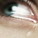 아이피아 이미지