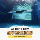 제이유니버스 | 세부 프리다이빙 센터 추천 더마크리조트 유니버스다이브