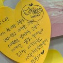 푸른솔 | 보성 반려동물장례식장, 2025년 11월 장례 후기 (푸른솔)