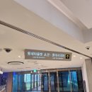 [신작 관람 후기]&#39;캡틴 아메리카 : 브레이브 뉴 월드&#39; 후기와 쿠키영상 유무.