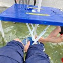 본죽&비빔밥 홍성법원점 | 25년 9월 :: 내 손톱발톱 먹은 쥐가 대신 일해주기를 간절히 바라는데 아직도