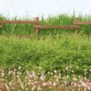 더 느리게 이미지