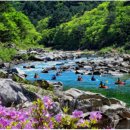 고향황토집 이미지