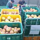 (주)우리마트 이미지