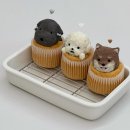아짱아짱 네이버블로그