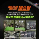 베스트나인베이스볼