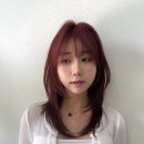 살롱드레브 이미지