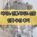 전통민화 | 다이소 전통시리즈 민화 우산 2025 신상 후기