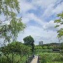 디저트39 대구수성못점 | 대구 여름 카페 추천, 수성못 디저트39 뷰 맛집