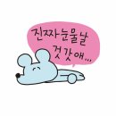 눈물없이 볼 수 없는 허거덩거덩스한 면허따기대작전