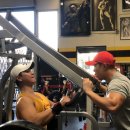 Gold PT GYM 이미지