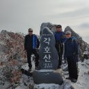신고입고