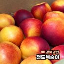 천도복숭아 말랑 달달하네 온라인 복숭아 구매 성공