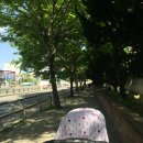 해운대초등학교 후문 앞 이미지