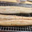 오포장어마을 이미지