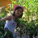 가현농장 이미지