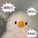제이든29-1호스텔 | 을왕리 바다 근처 펜션 여행 후기 | 떡볶이+십원빵+바베큐까지-🍖(#제이든29펜션)
