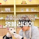 멍블리 수제간식 | [빛깔이벤트] 🐶나주 애견수제간식 멍블리데이와 함께하는 인스타그램 댓글이벤트🐶
