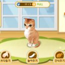 고양이다방 이미지