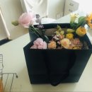 프리플라 이미지