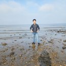 마니꼴똥돼지 펜션 이미지