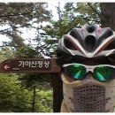 군장농원 이미지