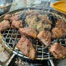 돗배갈매기 이미지
