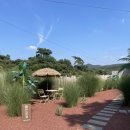 풍월주인 이미지