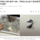 말린 멸치 사이에 섞여있던 암살자 아기복어 이미지