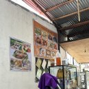 F42 | 필리핀 보홀 맛집 추천 현지인 맛집 리스트