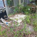 관정목장2 이미지