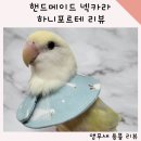 두시의앵무새