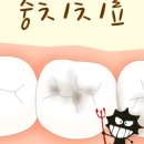 다시내보 이미지