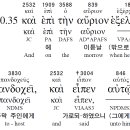 비바이디