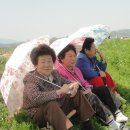 싱싱투어
