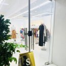 창대구제