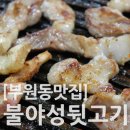 불야성뒷고기